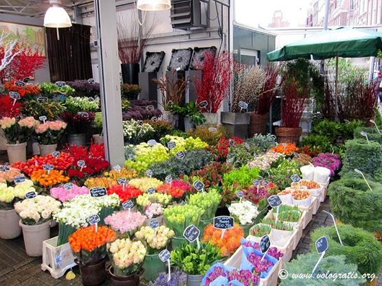 mercato dei fiori amsterdam