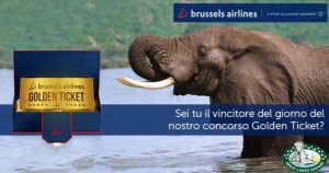 concorso brussels airlines