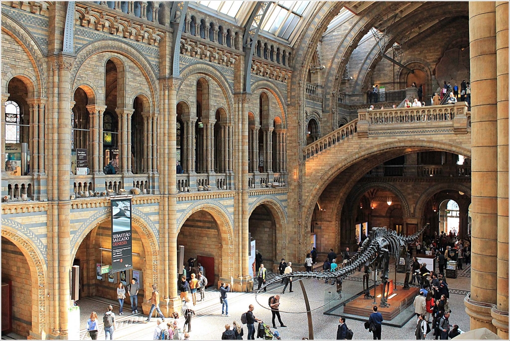 Natural History Museum - Musei a Londra