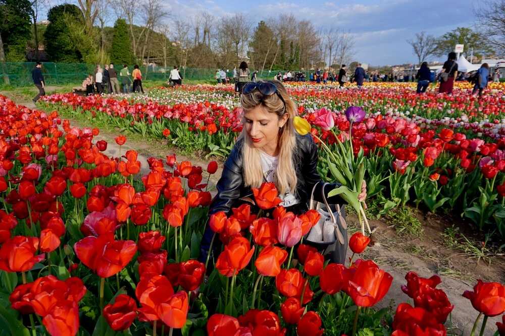 parco tulipani roma (5)